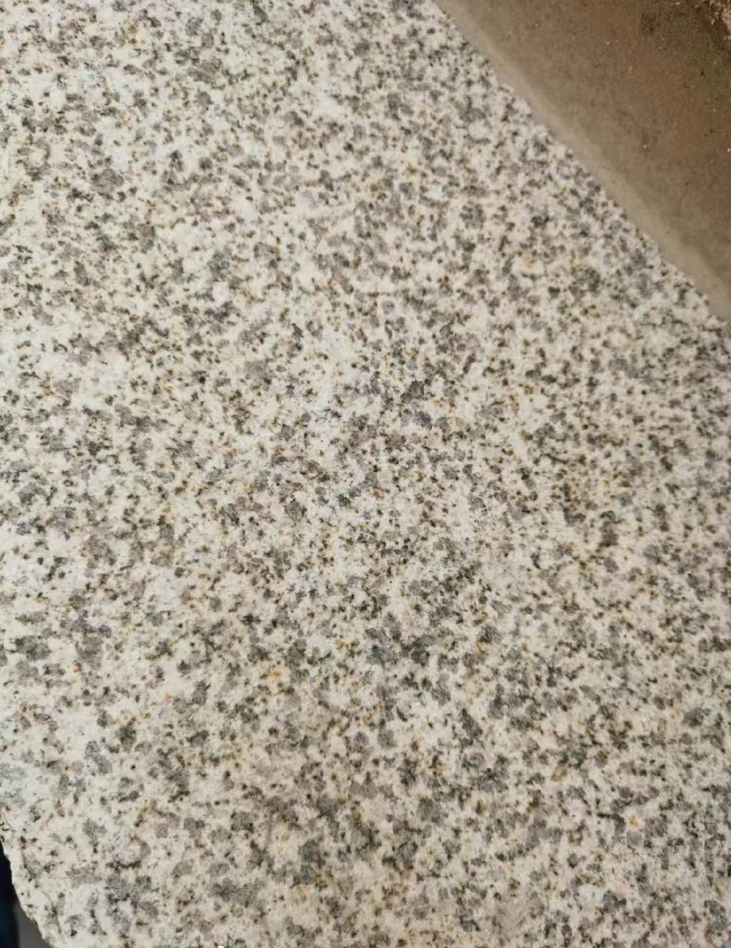 晋城 黄金麻中黄光面