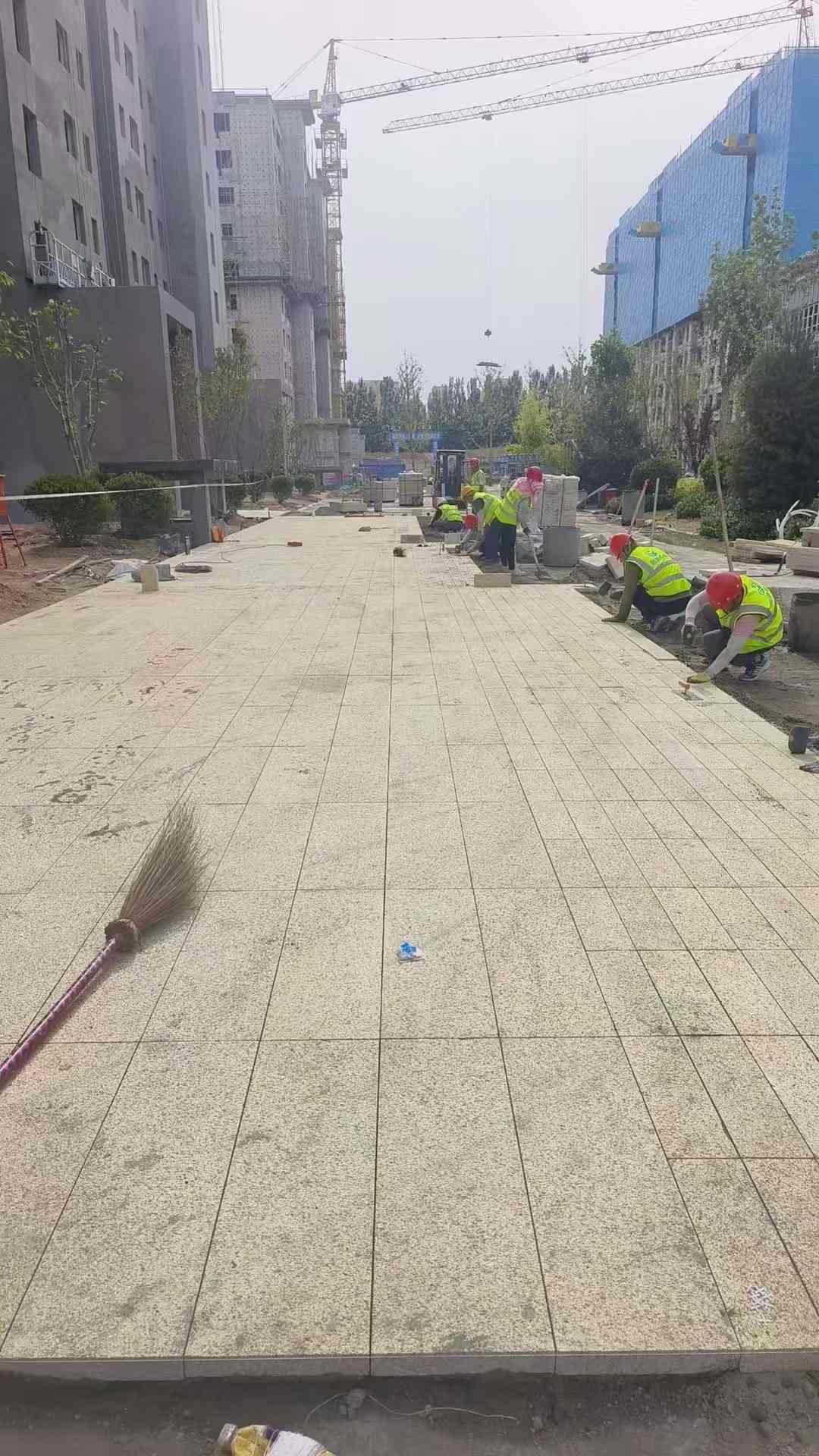 晋城黄金麻荔枝面地铺案例