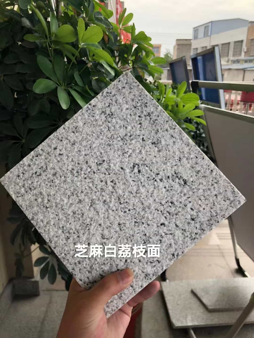 晋城 芝麻白荔枝面干挂